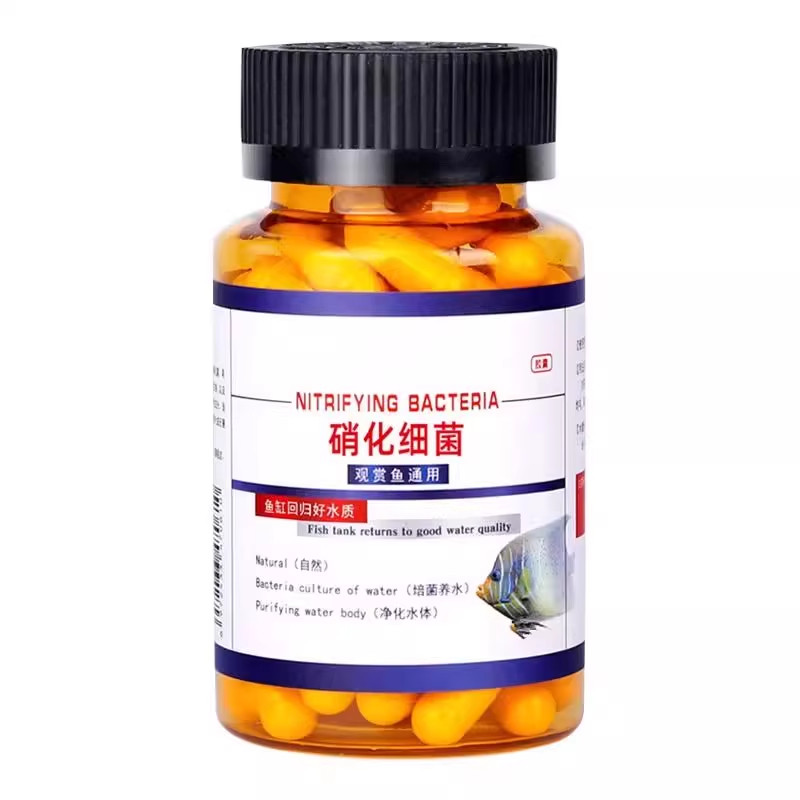 强力硝化细菌快速净水鱼缸不浑水