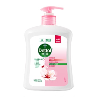 Dettol滴露健康抑菌洗手液滋润倍护呵护双手-多洗手不干