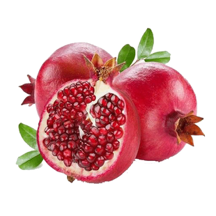 虹越石榴树树苗庭院花园果树突尼斯软籽盆栽地栽果苗南北方种植