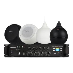 Changhong/长虹D1吸顶喇叭套装吊球吊顶音响餐厅酒店超市嵌入式背景音乐系统广播功放机室内店铺壁挂天花音箱