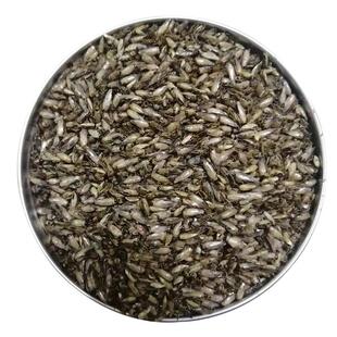 水蚊子干虫干提性鸟饲料鸟食喂鱼养宠长膘高蛋白优质水蚊子干袋装