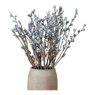 尤加利小白果天然桉树果家居摆设永生花干花束ins小清新摄影花材