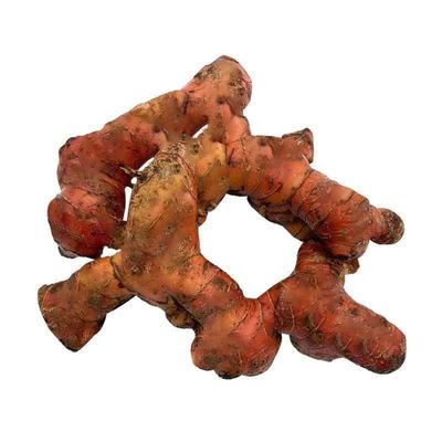 新鲜南姜500g越南山姜泰国冬阴功