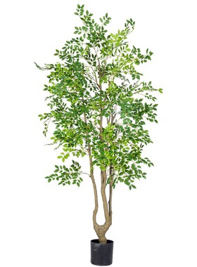 仿真绿植榆钱树室内大型高端轻奢装饰摆件盆栽高品质仿生绿色植物