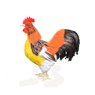 仿真羽毛鸡模型玩具公鸡母鸡孵蛋鸡摆件小鸡仔拍摄道具家居饰品