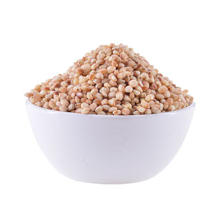 璐通小白人 杂交白高粱种子 食用矮高粱 中国农科院 高产白高粱米