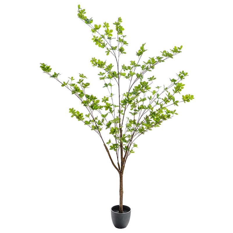 仿真绿植摆件日本吊钟植物马醉木服装店室内客厅装饰假树落地盆栽
