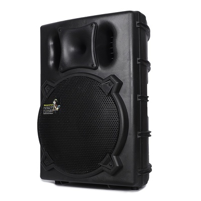 全天候枫格塑胶壳音箱防水防晒