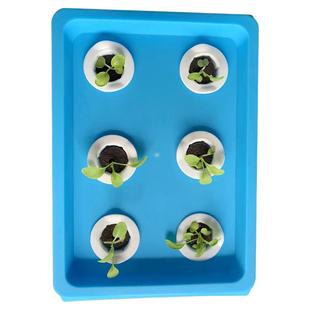 水培蔬菜种植箱5孔6孔送定植篮炭绵种子无土栽培设备盆阳台种菜箱