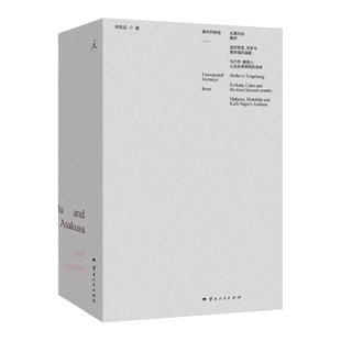 意外的旅程 全三册 许知远漫游十五年首次结成旅行三书 探寻世界 横穿中国旅行随笔 用陌生与偶遇重访 理想国图书旗舰店官方正版