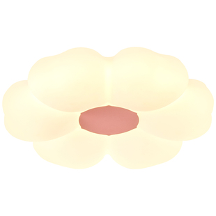 奶油风吸顶灯2026新款简约现代创意花朵护眼温馨浪漫卧室房间灯具