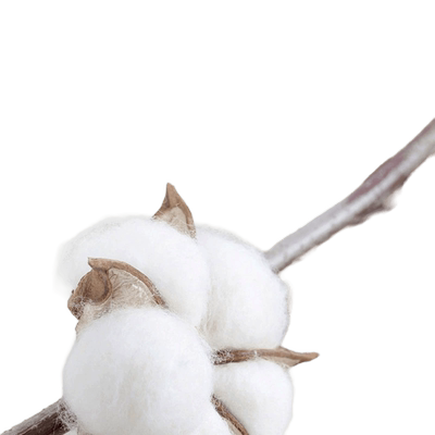 弹力修身裤子休闲百搭长裤