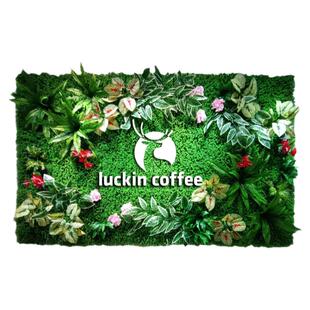 仿真植物墙绿植背景墙网红花墙室内假花形象墙阳台壁挂草坪装饰墙