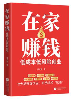 在家赚钱低成本低风险创业正版传统网赚个体电商直播带货自媒体运营AI赚钱短视频赚钱超级个体 专为普通人量身打造的财富指南书籍