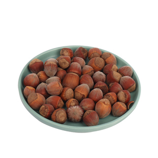 松鼠粮食东北大榛子飞鼠磨牙小坚果零食主食饲料食物用品原味榛子