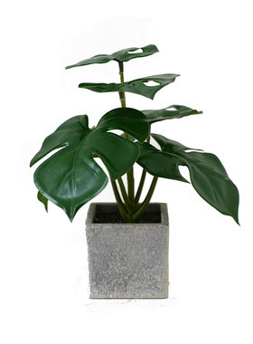 仿真绿植假花摆件龟背叶小盆栽