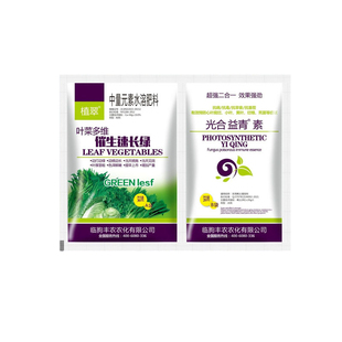 【芹菜速长灵】芹菜专用叶面肥催生速长增高鲜嫩增产西芹香芹通用