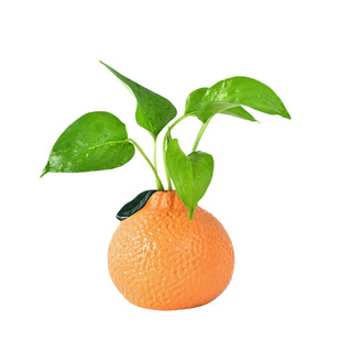 仿真橘子小花瓶摆件客厅插花水培植物鲜花绿萝高颜值桌面装饰摆件