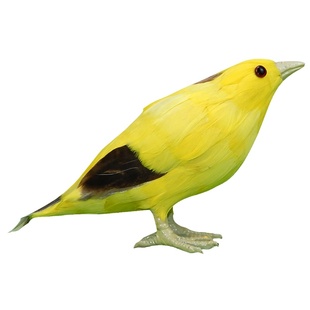 仿真黄鹂鸟画眉鸟鸬鹚乌鸦巨嘴鸟鹦鹉玩具羽毛小鸟装饰摆件鸟模型