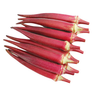 红秋葵种子种籽孑 黄秋葵四季蔬菜 春播早熟阳台春季蔬莱仔菜秋癸