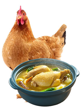皖南黄油老母鸡3只新鲜现杀