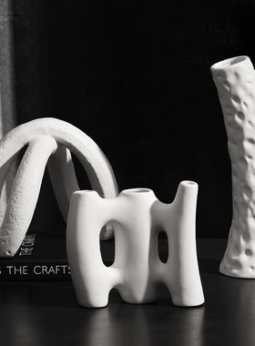 现代简约创意抽象陶瓷花瓶电视柜餐桌酒柜插花装饰品摆件客厅干花