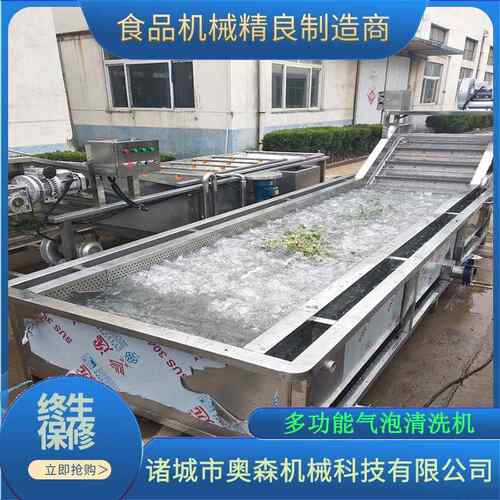 不锈钢网带式高压果蔬清洗机  玉米清洗机 全自动黄精药材洗药机