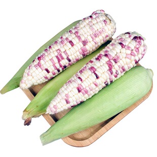 彩甜糯玉米种子大全甜糯黏玉米种籽孑花糯东北糯米粘香甜软糯超甜