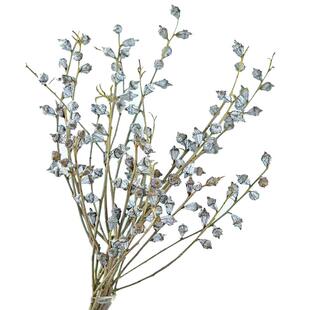 高品质云南新鲜尤加利果鲜花配花木本鲜切枝同城配送水养可做干花