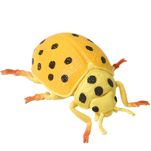 仿真瓢虫知了蟋蟀模型竹节虫儿童玩具蜉蝣昆虫蝼蛄科教育甲虫标本