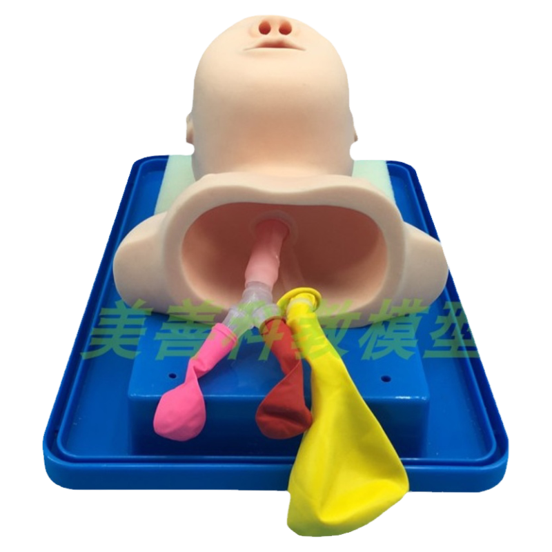 气管插管模型新生儿急救成人