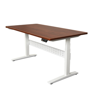 泠泠岛出口电动升降桌站立办公智能电脑桌升降游戏桌可调节高度桌