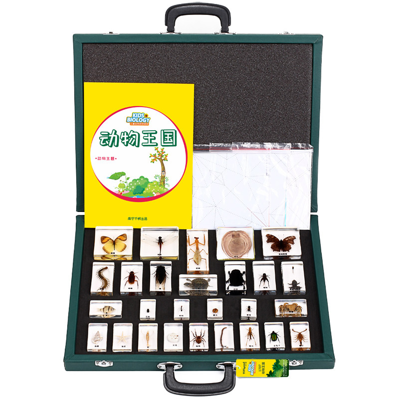 千千谷动物昆虫标本树脂海洋