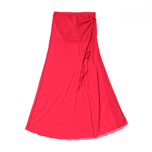 舞辰蝶肚皮舞半身裙女成人开叉包臀裙子练功服下装东方舞长裙性感