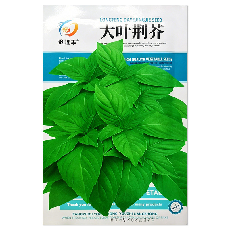 大叶荆芥种子四季易种植
