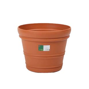 海蒂的花园旗舰店爱丽思巴伦西亚月季绣球绿植花卉园艺种植栽种盆