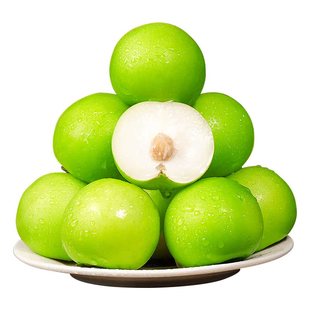 福建牛奶枣大青枣5斤当季新鲜水果现摘脆甜苹果枣奶油蜜枣子冬枣