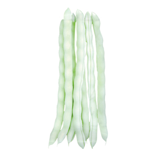 九粒白芸豆种子种籽孑苗秧豆角架豆扁豆四季豆早白不老大全豆角苗