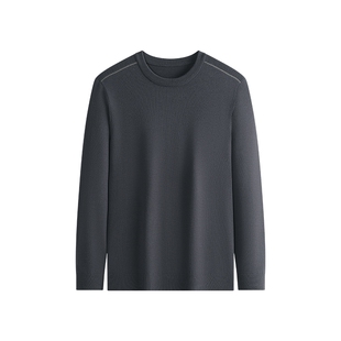 SHANSHAN杉杉加厚毛衣男款秋季新款针织衫男士上衣内搭圆领打底衫