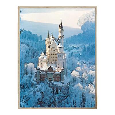 Ravensburger睿思拼图成人版1500片新天鹅堡拼图圣诞游行宝可梦