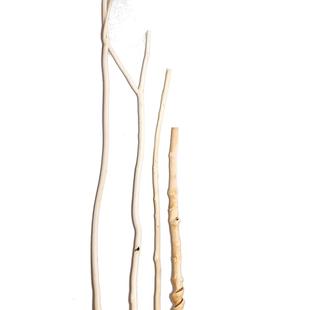 天然去皮干树枝挂衣杆森系服装店货架橱窗装饰木棍挂毯窗幔枯树枝