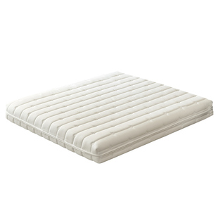 大森林黄麻棕榈床垫老人儿童护脊硬床垫乳胶软垫上下铺榻榻米定制