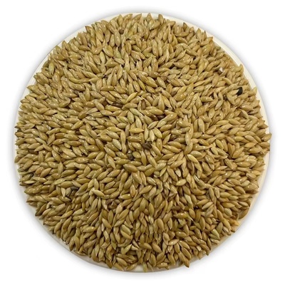 鸟食进口加纳油尖草庐全国包邮