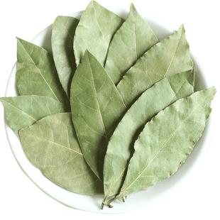 广西香叶个大色绿月桂叶去腥解腻提味增香500g装香辛料调味料大全
