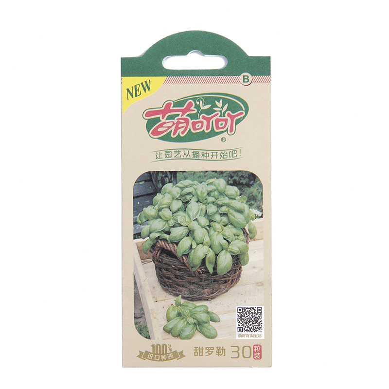 虹越种子香料香草罗勒紫苏薄荷香菜小香葱芹菜茴香洋甘菊香椿沙葱