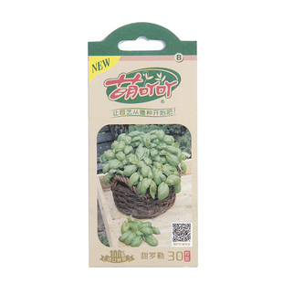 萌吖吖种子香料香草罗勒紫苏薄荷香菜香葱芹菜茴香洋甘菊香椿沙葱