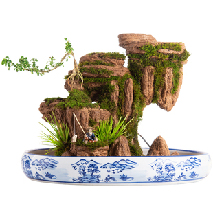 精品室内天然吸水石造景上水石摆件非原石山水盆景流水假山微景观