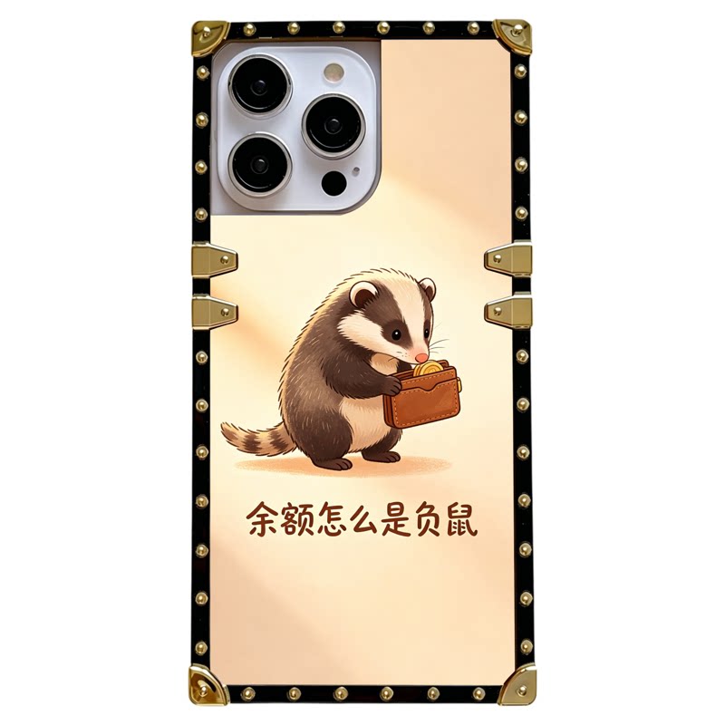 余额怎么是负鼠方形苹果17手机壳