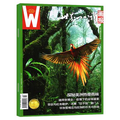 世界知识画报杂志2026年1/2/3月/2025年4-12月/合订本中亚年英国年 人文地理国际视野图文并茂内容丰富大型画刊社会文化旅游