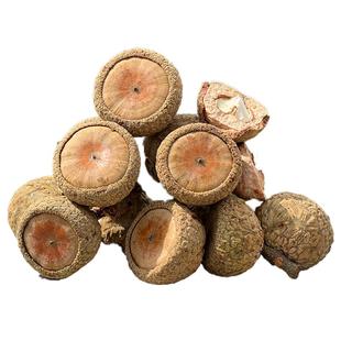 新果】野生风流果500g带皮果广西直发石头果滋补泡酒料厚鳞男补